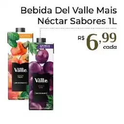 Dona de Casa Bebida Del Valle Mais Néctar Sabores oferta