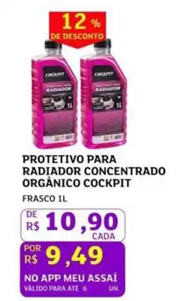 Assaí Atacadista Protetivo para radiador concentrado organico cockpit oferta