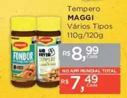 Supermercados Mundial Tempero MAGGI Vários Tipos oferta