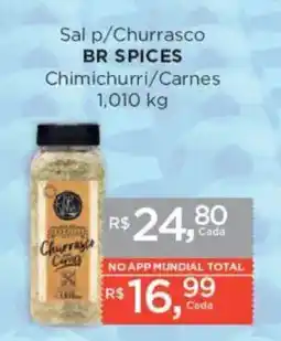 Supermercados Mundial Sal p/Churrasco BR SPICES oferta