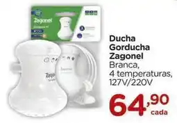 Carrefour Gorducha - zagonel oferta