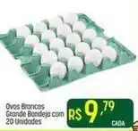 Muffato Ovos brancos grande oferta