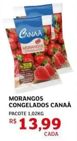 Assaí Atacadista Morangos congelados canaa oferta