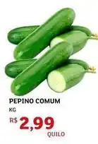 Assaí Atacadista Pepino comum oferta