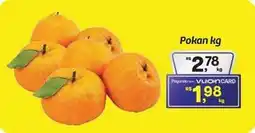 Fort Atacadista Pokan oferta