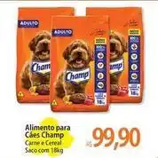 Atacadão Champ - alimento para cães oferta