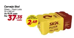 Dia Skol - cerveja oferta