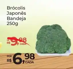 Super Luna Brócolis Japonês Bandeja oferta