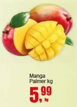 Negreiros Manga Palmer oferta
