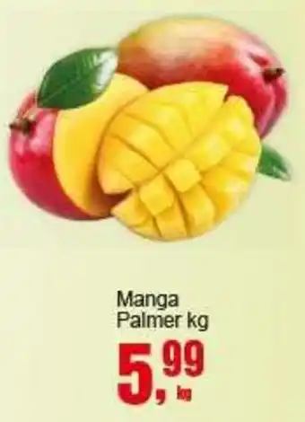 Negreiros Manga Palmer oferta