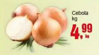 Negreiros Cebola oferta