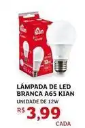Assaí Atacadista Kian - lámpada de led branca a65 oferta