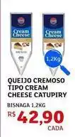 Assaí Atacadista Cremoso - queijo cremoso tipo cream oferta