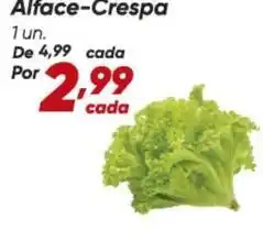 De - alface-crespa