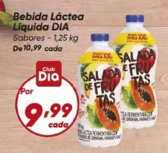 Dia Bebida Láctea Liquida DIA oferta