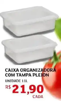 Assaí Atacadista Caixa organizadora com tampa pleion unidade oferta