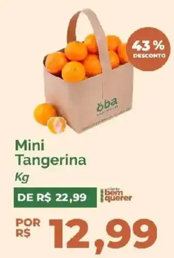 Oba Hortifruti Mini Tangerina oferta