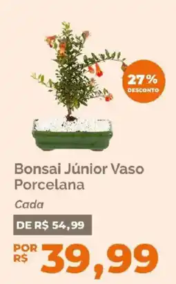 Oba Hortifruti Bonsai Júnior Vaso Porcelana oferta
