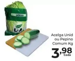 Comercial Esperança Acelga Unid ou Pepino oferta