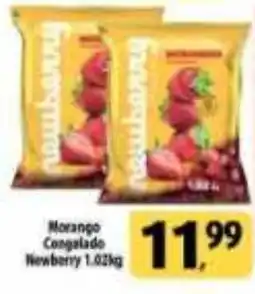 Coelho Diniz Morango Congelado Newberry oferta