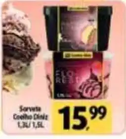Coelho Diniz Sorvete Coelho Dink oferta