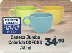 Supermercados Jau Serve Caneca Jumbo Colorida OXFORD oferta