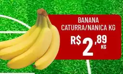 Muffato Banana caturra/nanica oferta