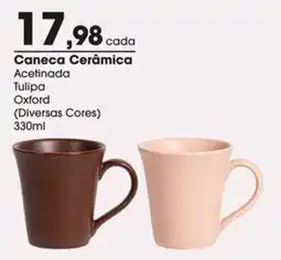 Zaffari Caneca Cerâmica Acetinada Tulipa Oxford oferta