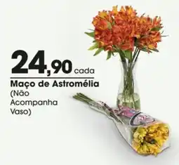 Zaffari Maço de Astromélia oferta