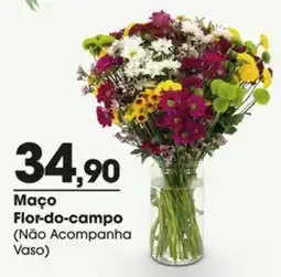 Zaffari Maço Flor-do-campo oferta
