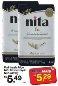 Fort Atacadista Nita - farinha de trigo fermentacao natural oferta