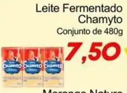 Villefort Atacadista Leite fermentado chamyto oferta