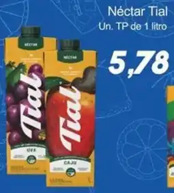 Villefort Atacadista Néctar Tial oferta