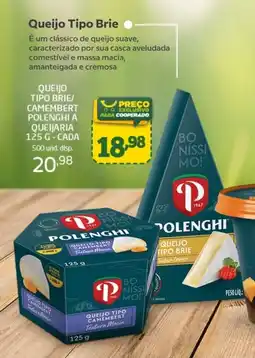 Cooper Queijo tipo brie/ camembert polenghi a queijaria oferta