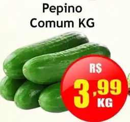 Supermercado Kibe Pepino Comum oferta
