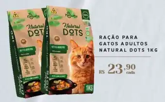 Empório Bahamas Ração para gatos adultos natural dots oferta
