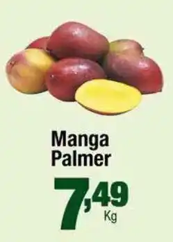 Santo Supermercados Manga Palmer oferta