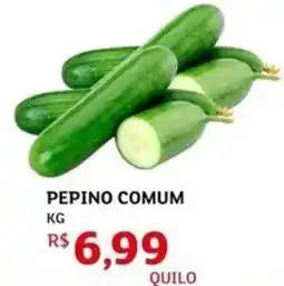 Assaí Atacadista Pepino comum oferta