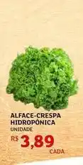 Assaí Atacadista Alface-crespa hidroponica oferta