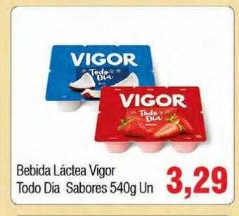 Spani Atacadista Bebida Láctea Vigor Todo Dia Sabores oferta