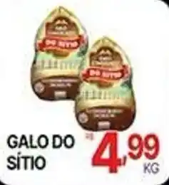 Supermercados Santa Helena Galo do sítio oferta