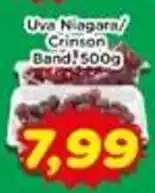 Fonte Nova uva niagara/ crinson band oferta