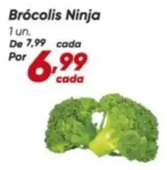 Dia Ninja - brócolis ninja oferta