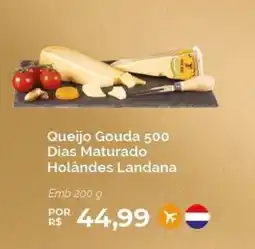 Oba Hortifruti Queijo Gouda 500 Dias Maturado Holândes Landana oferta