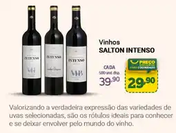 Cooper Vinhos SALTON INTENSO oferta