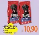 Atacadão Pacote - alimento para cães oferta