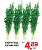 Fort Atacadista Cheiro verde aguena maço oferta