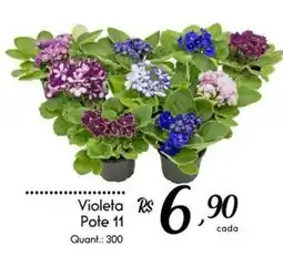 Giassi Supermercados Violeta Pote 11 oferta