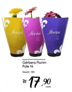Giassi Supermercados Gérbera Florim oferta