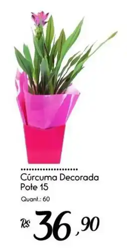 Giassi Supermercados Cúrcuma Decorada oferta
